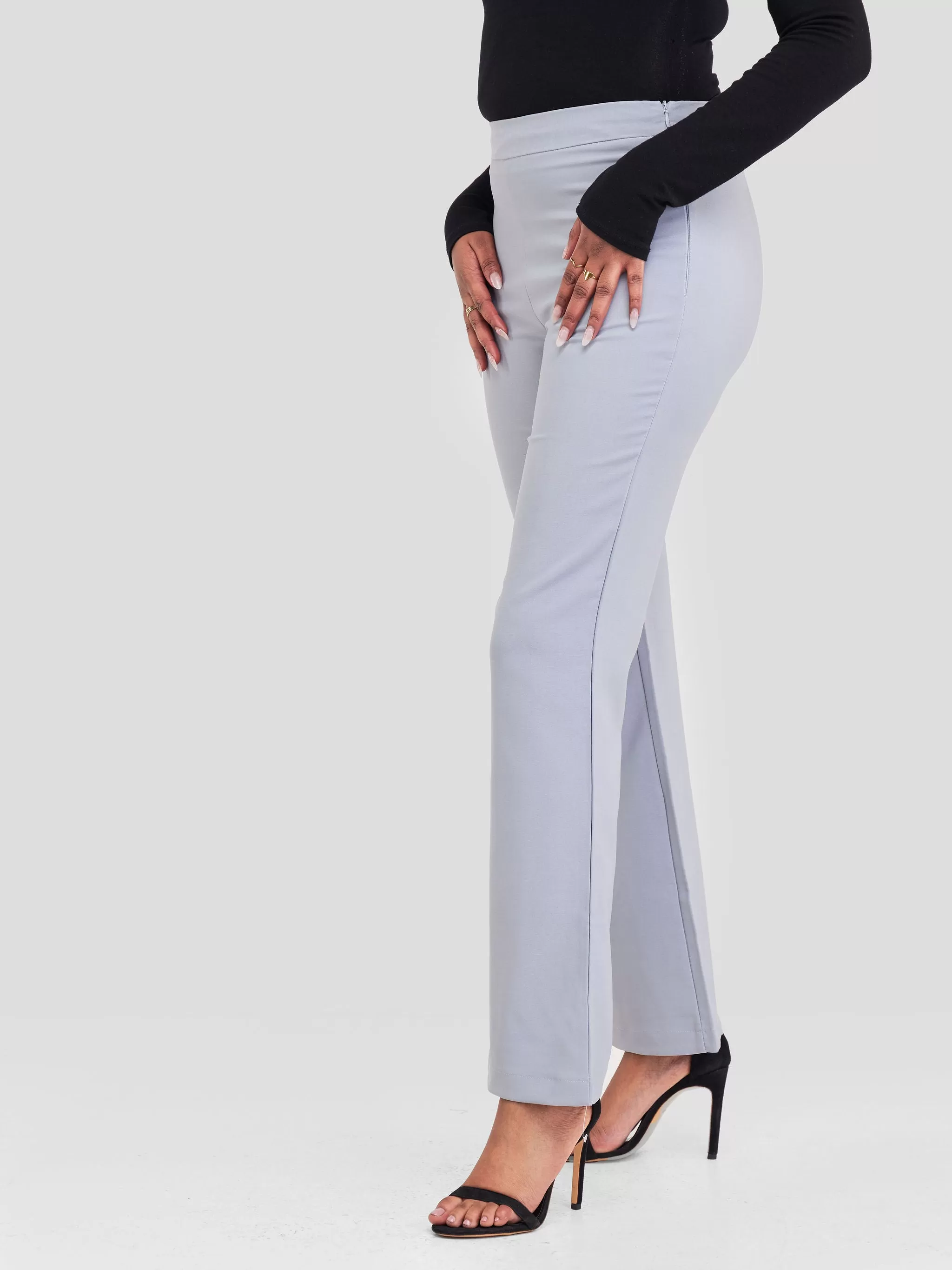 Anika Straight Leg Dress Pants With Zipper At Back- Light grey