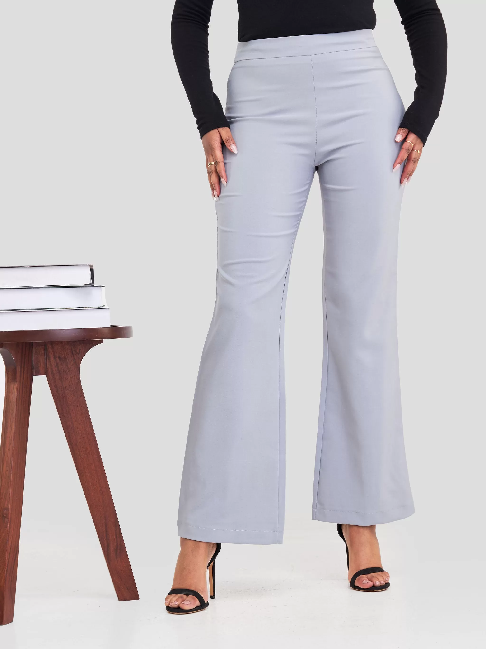 Anika Straight Leg Dress Pants With Zipper At Back- Light grey