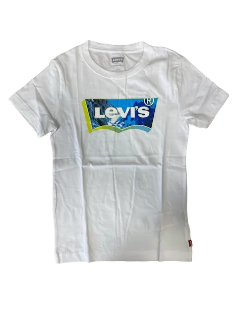 Levi's Landscape Batwing Fill short sleeve t-shirt 8EH317-W1T white