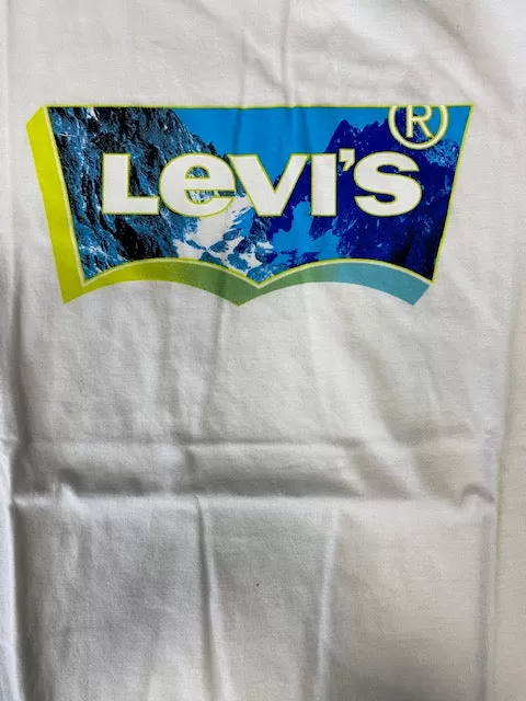 Levi's Landscape Batwing Fill short sleeve t-shirt 8EH317-W1T white