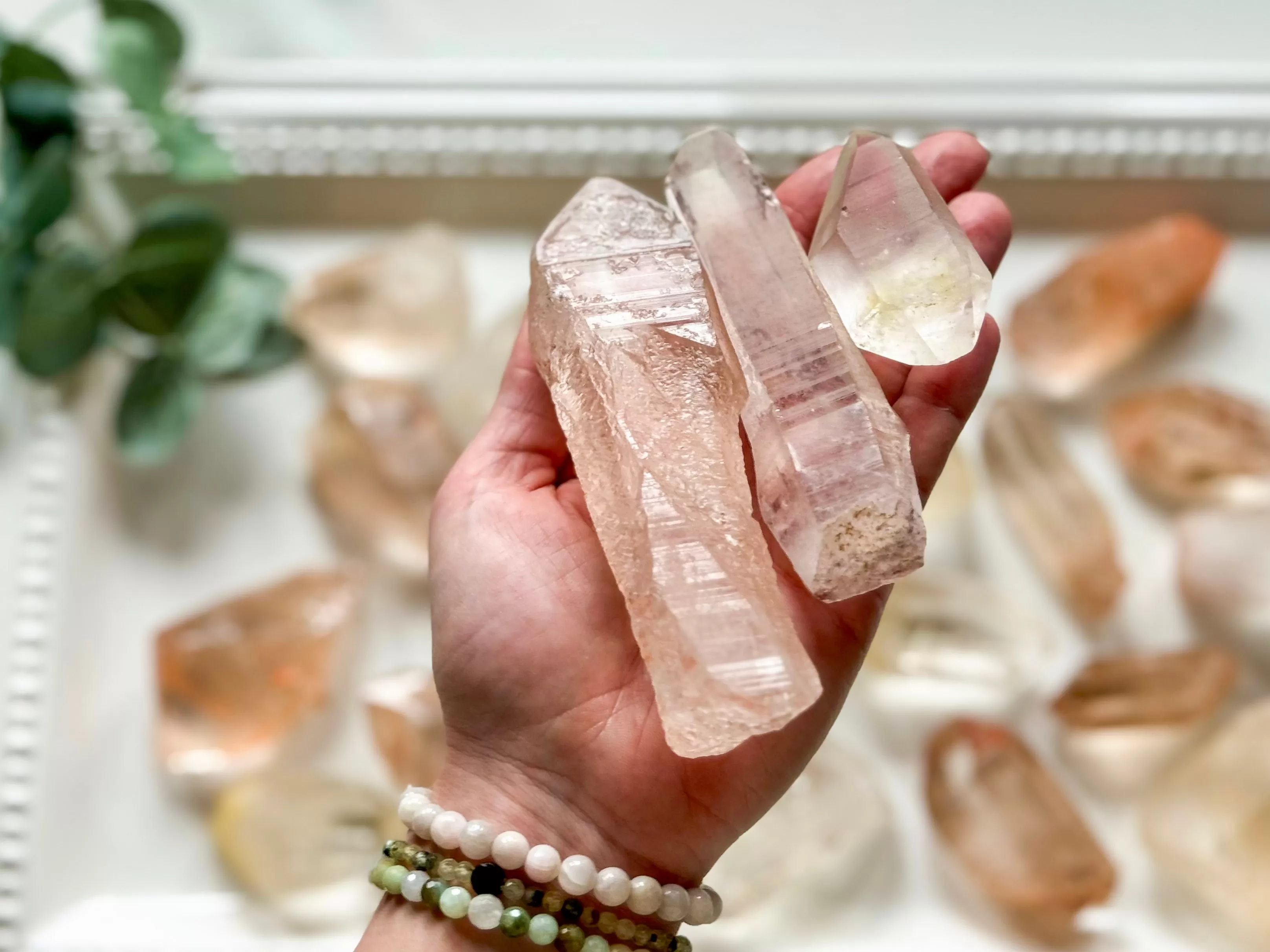 Pink & Golden Lemurian Points || Brazil