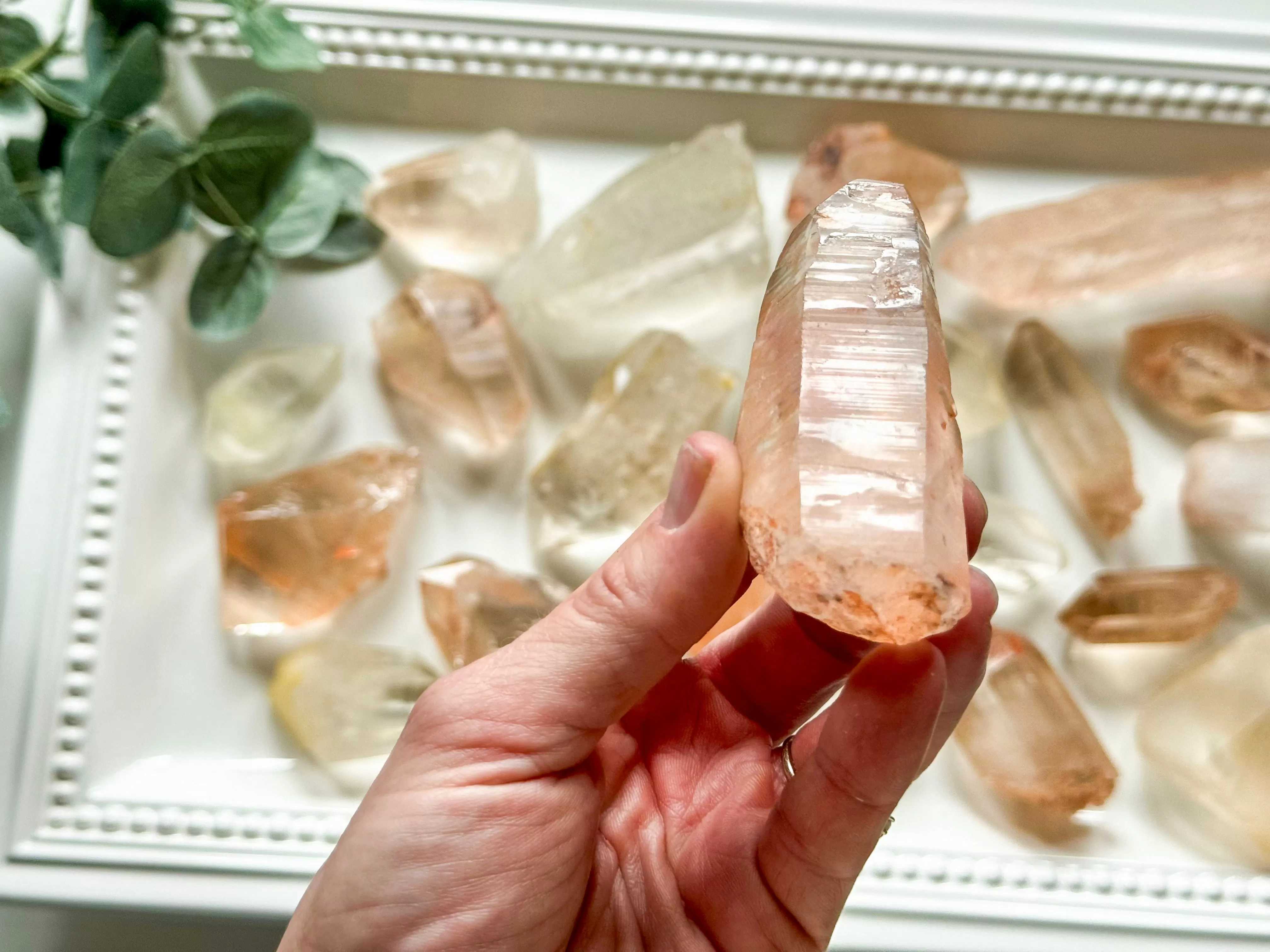 Pink & Golden Lemurian Points || Brazil